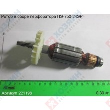Фото запчасти Энкор Ротор ПЭ750/24ЭР Энкор 221198